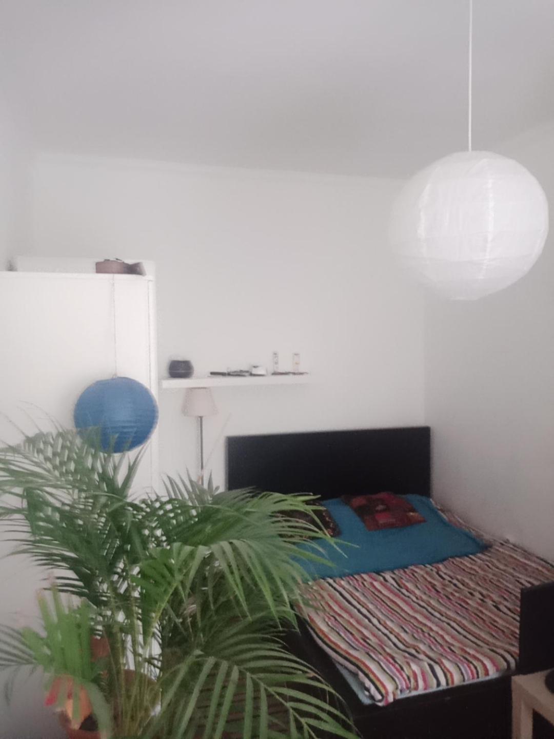 Doxie Rooms And Beds Budapest Eksteriør bilde
